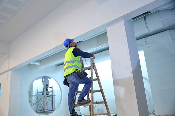 Best Mold Damage Restoration  in Cottageville, SC